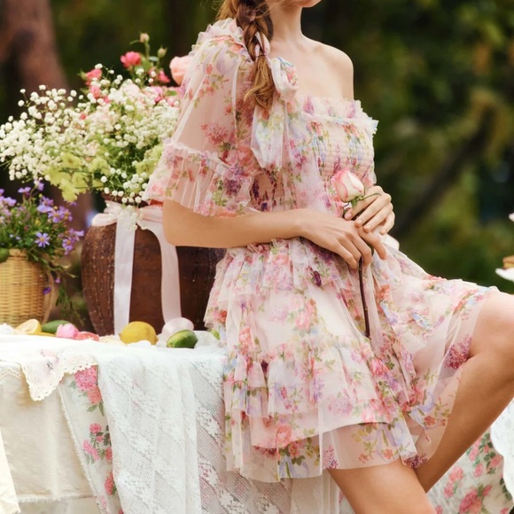 Coquette cottage core tulle mini dress floral nude flared shear netting - Picture 5 of 10